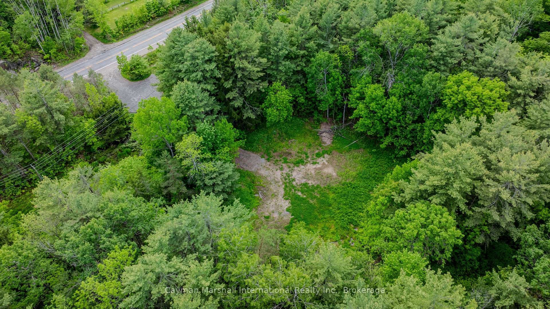 2682 Muskoka District 118 Road photo 6