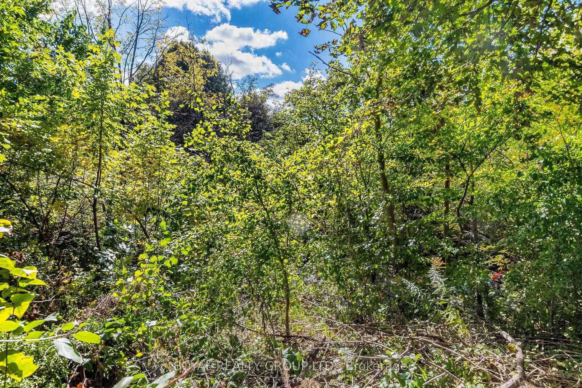 167 Avondale Boulevard photo 39