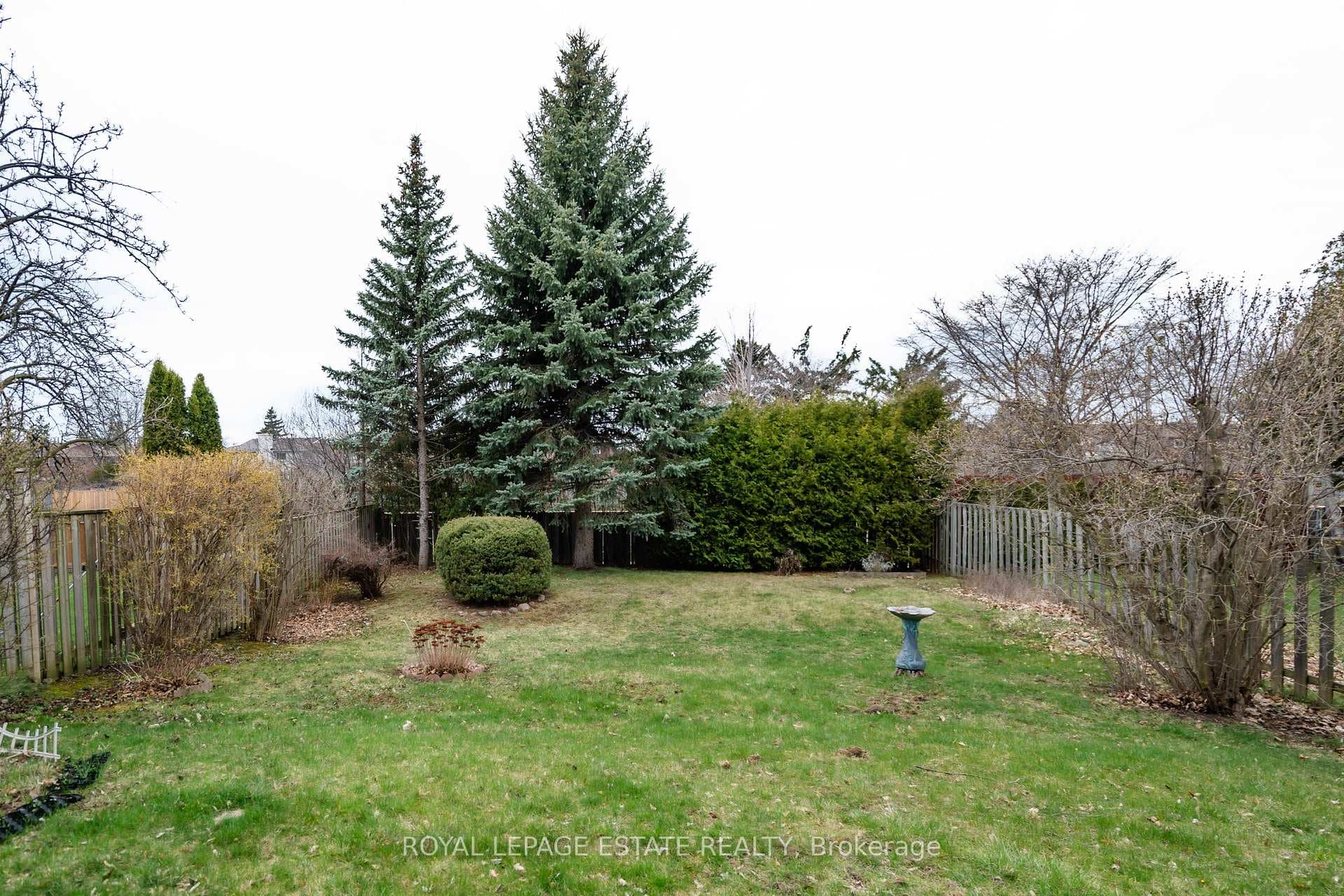 4 Lionhead Trail photo 30