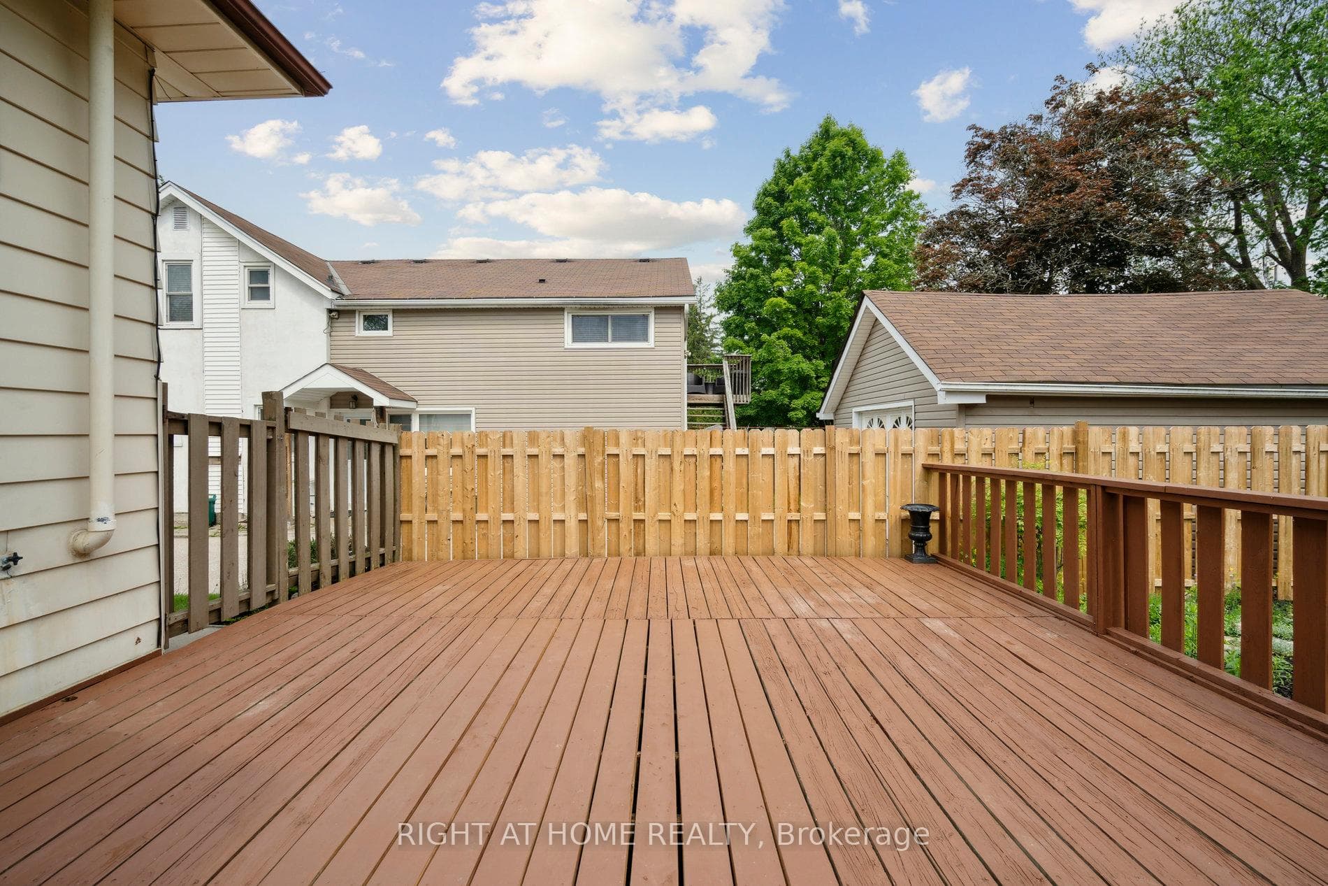 51 Frederick Street photo 44