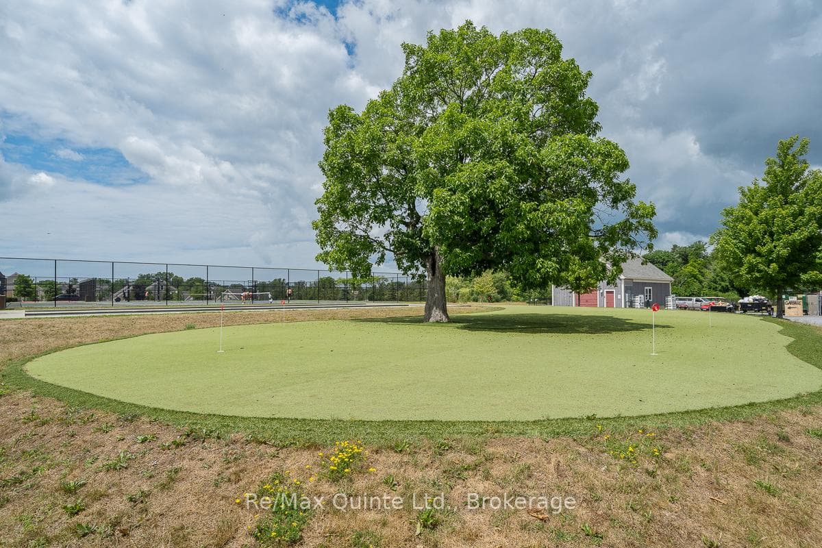 16 Butternut Lane photo 27