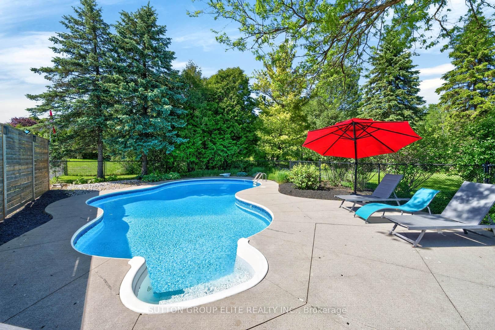 11 Elderberry Lane photo 45