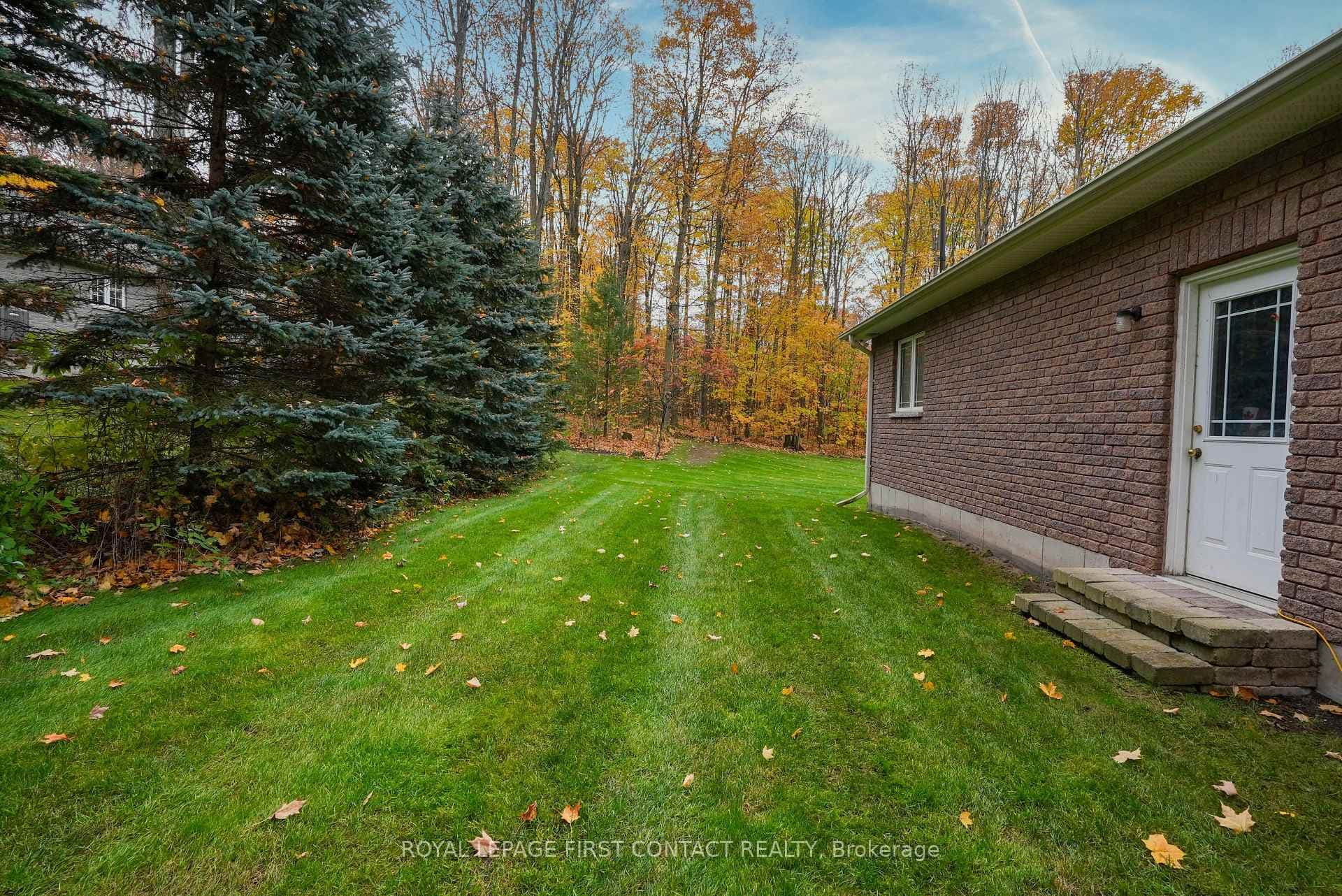 5 Northwood Court photo 36
