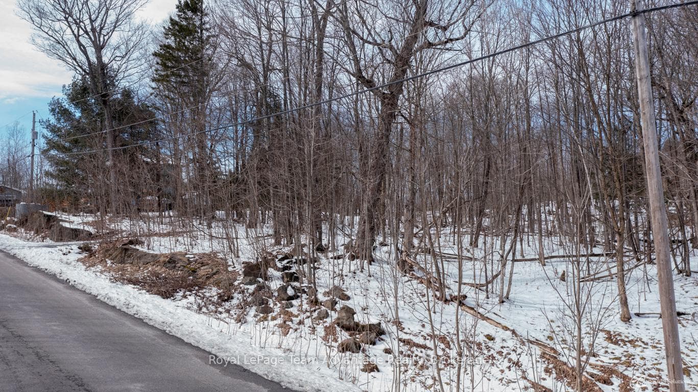 22 SUNNYSHORE PARK Drive photo 20