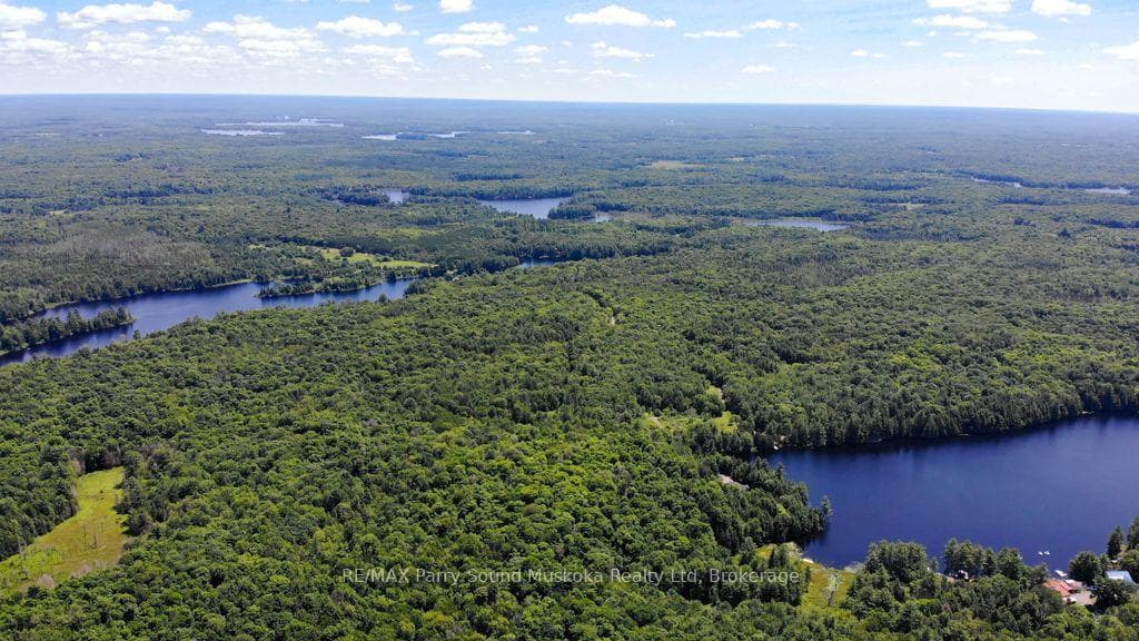 17 White Beaver Trail photo 12