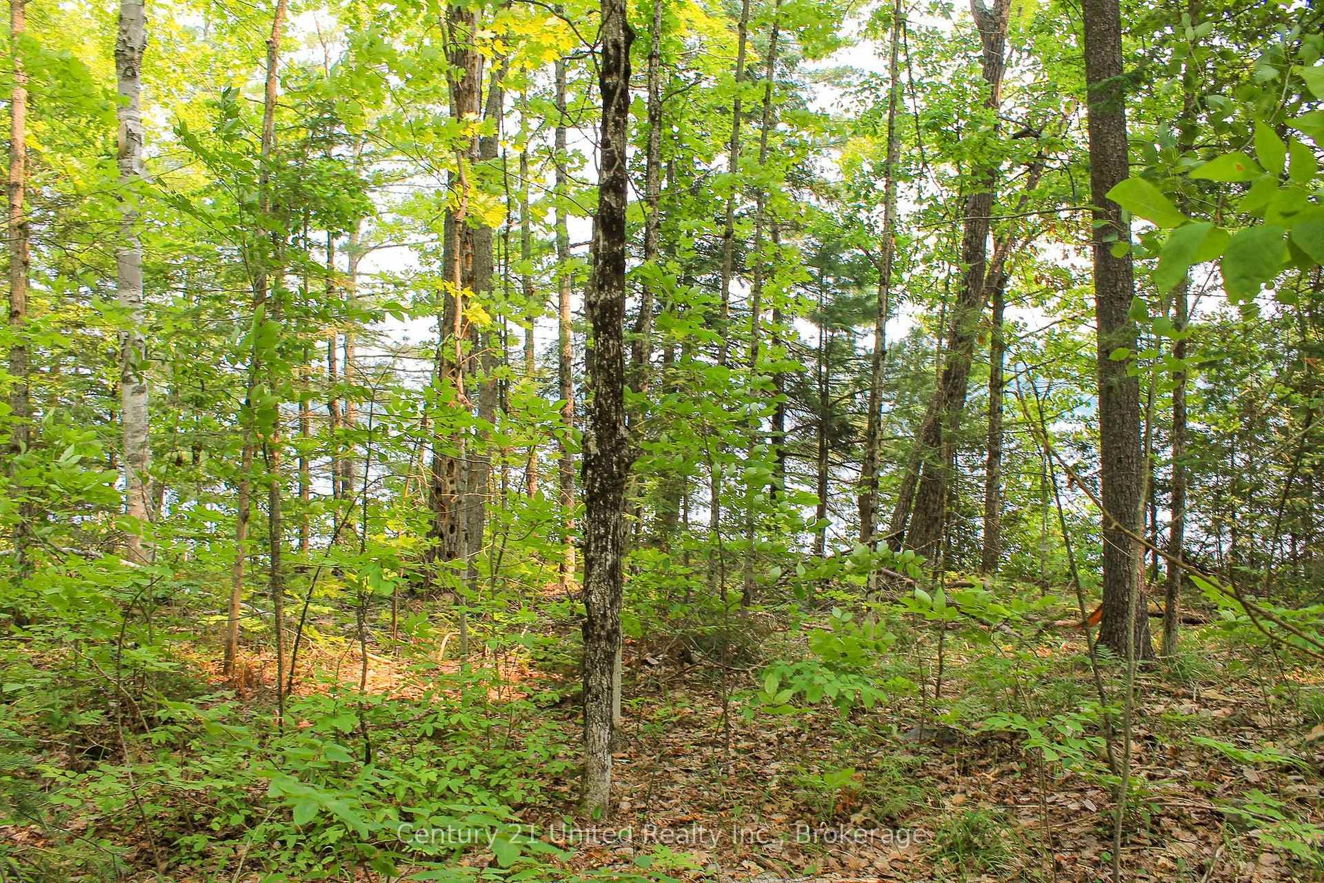 00 McKee Avenue photo 13