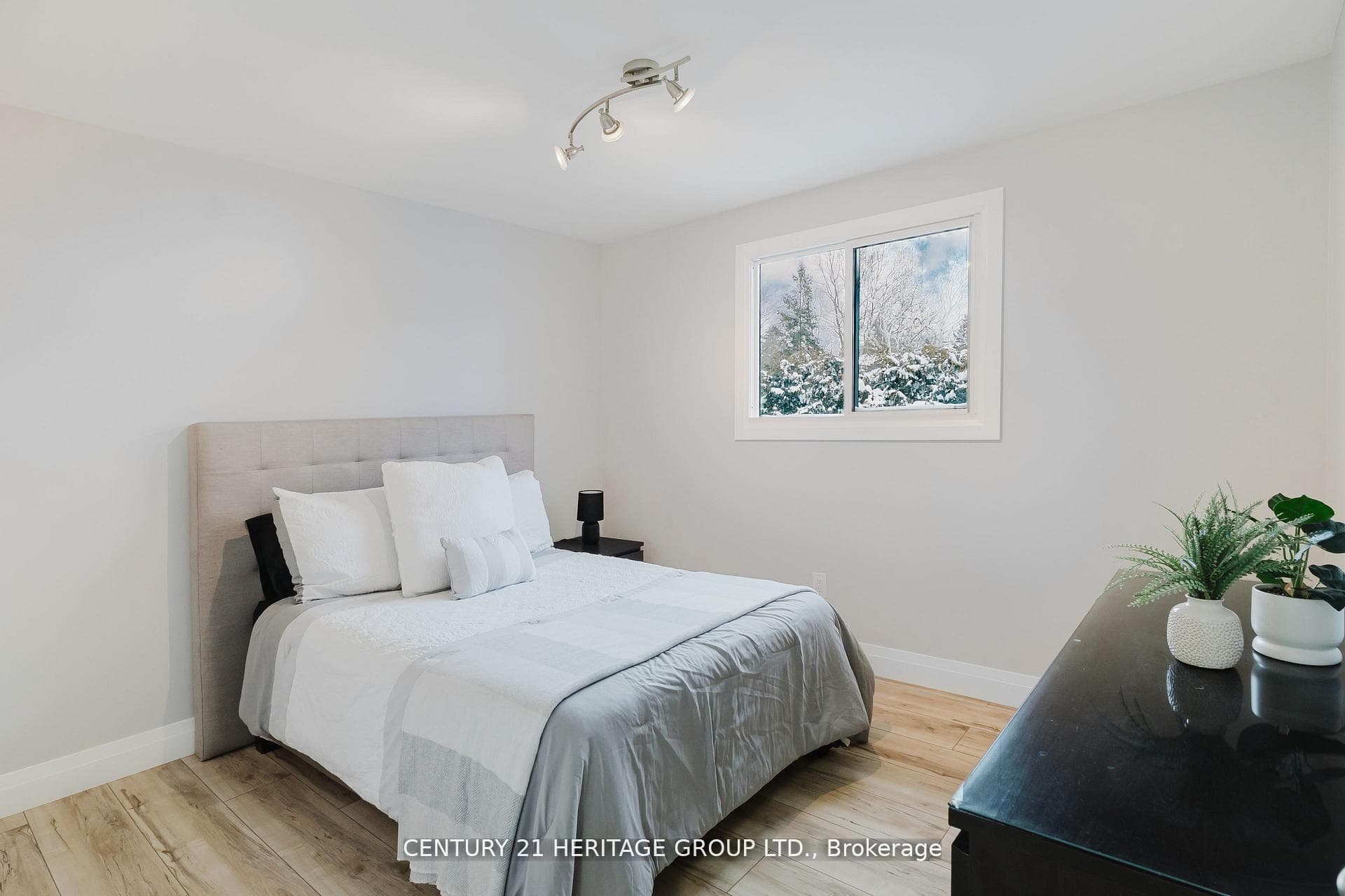 7 Crawford Circle photo 25