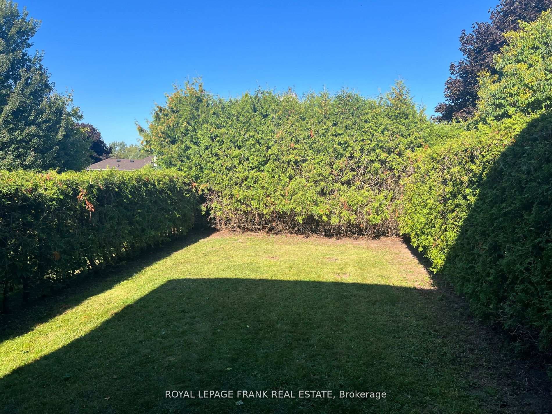 752 Elderberry Drive photo 11