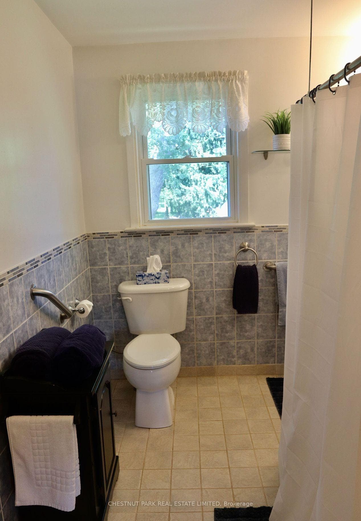 12 Roger Street photo 16