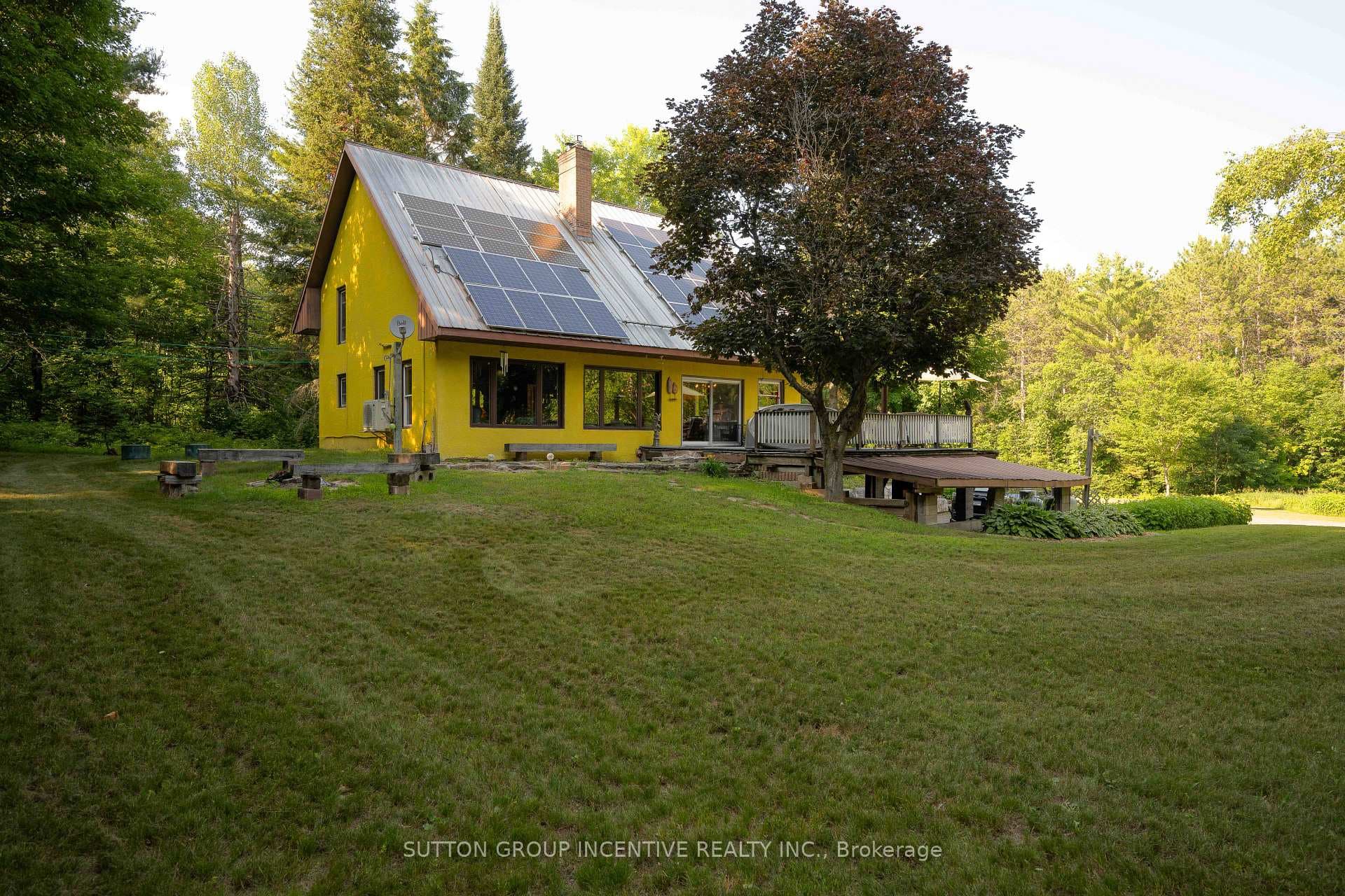 Forest side views of the home