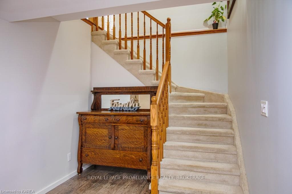 11 GAVEY Street photo 29