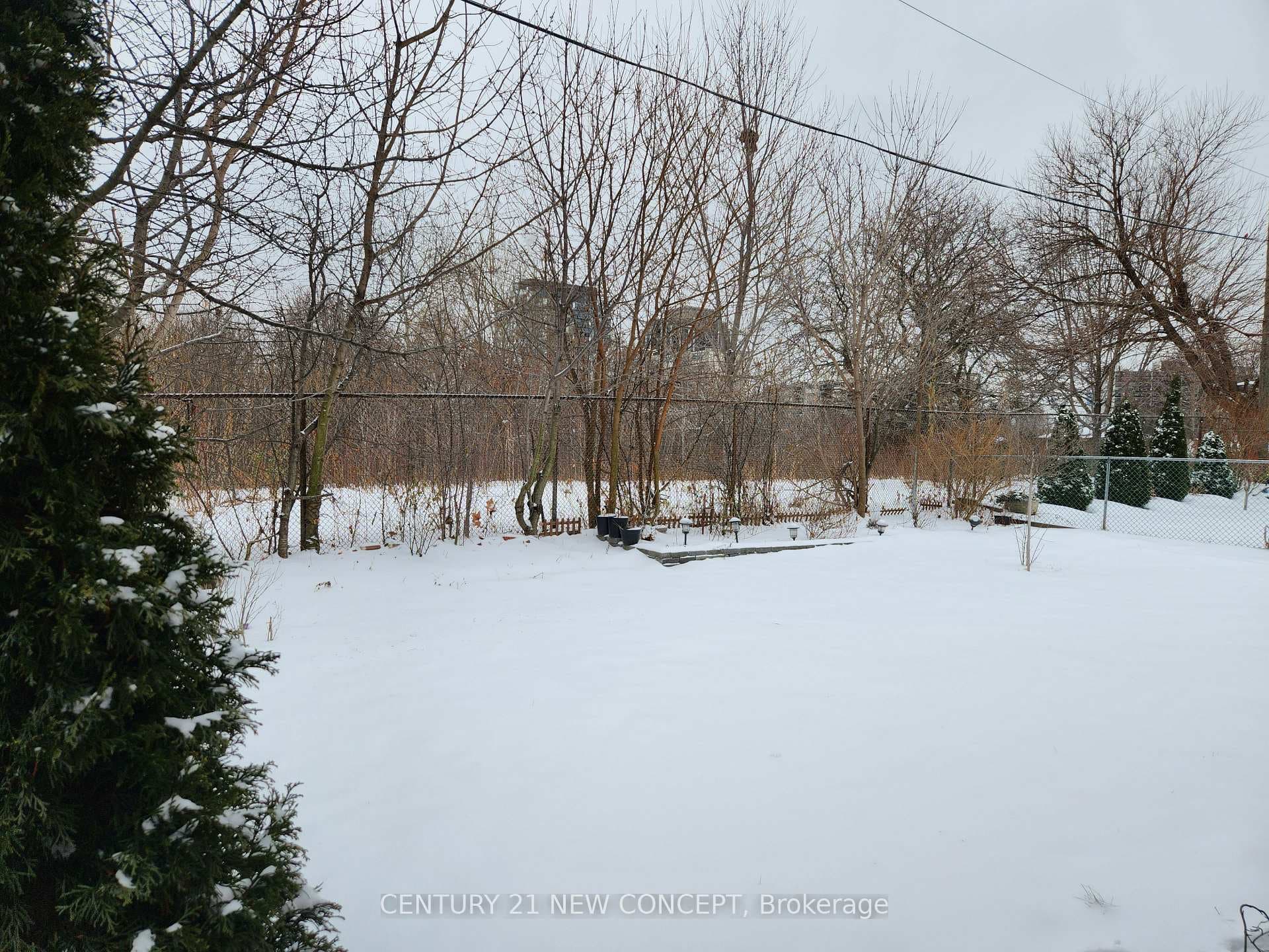 9 Clement Road photo 22