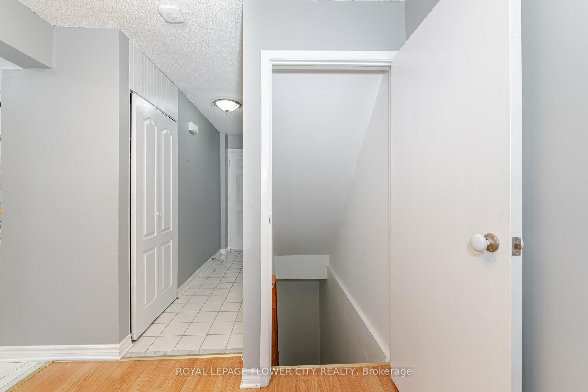 2452 Hemus Square photo 29