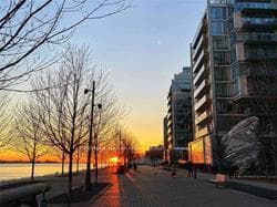 29 Queens Quay Unit 301 photo 12