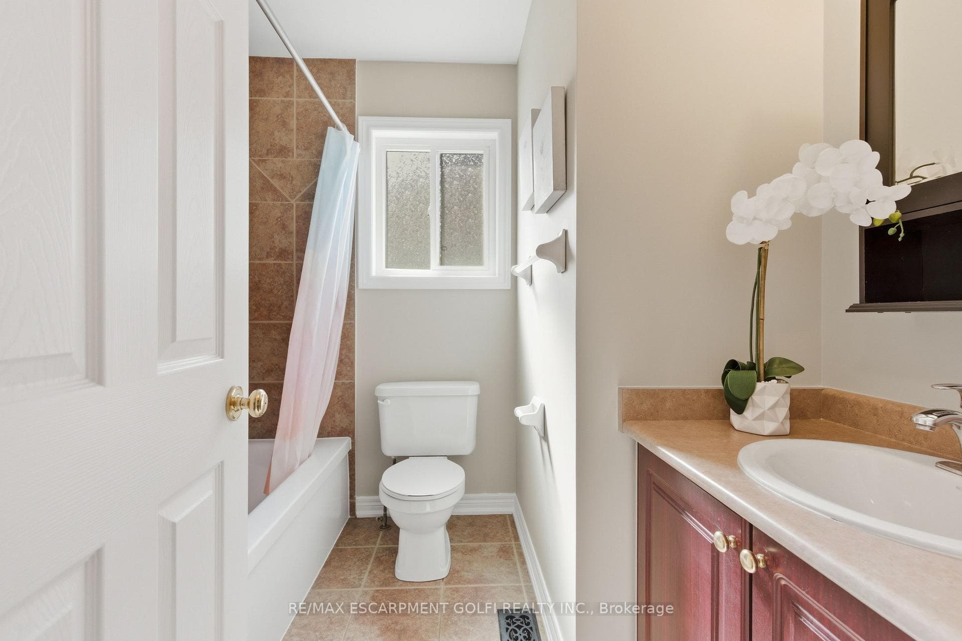 213 Dorchester Drive photo 18