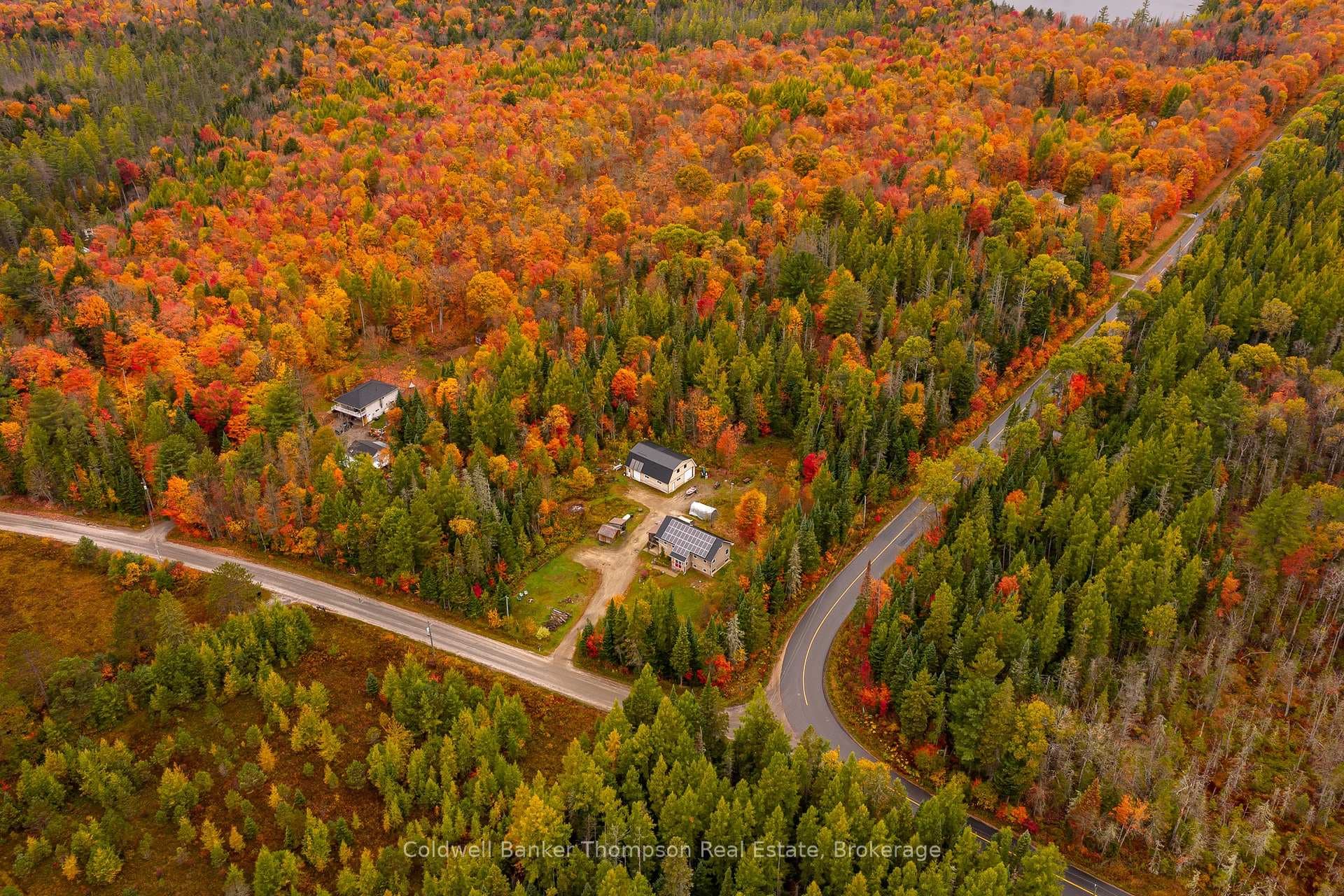 20 Wolf Paw Road photo 45