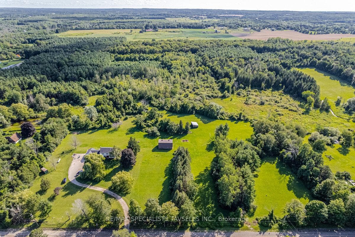 15558 Shaws Creek Road photo 4