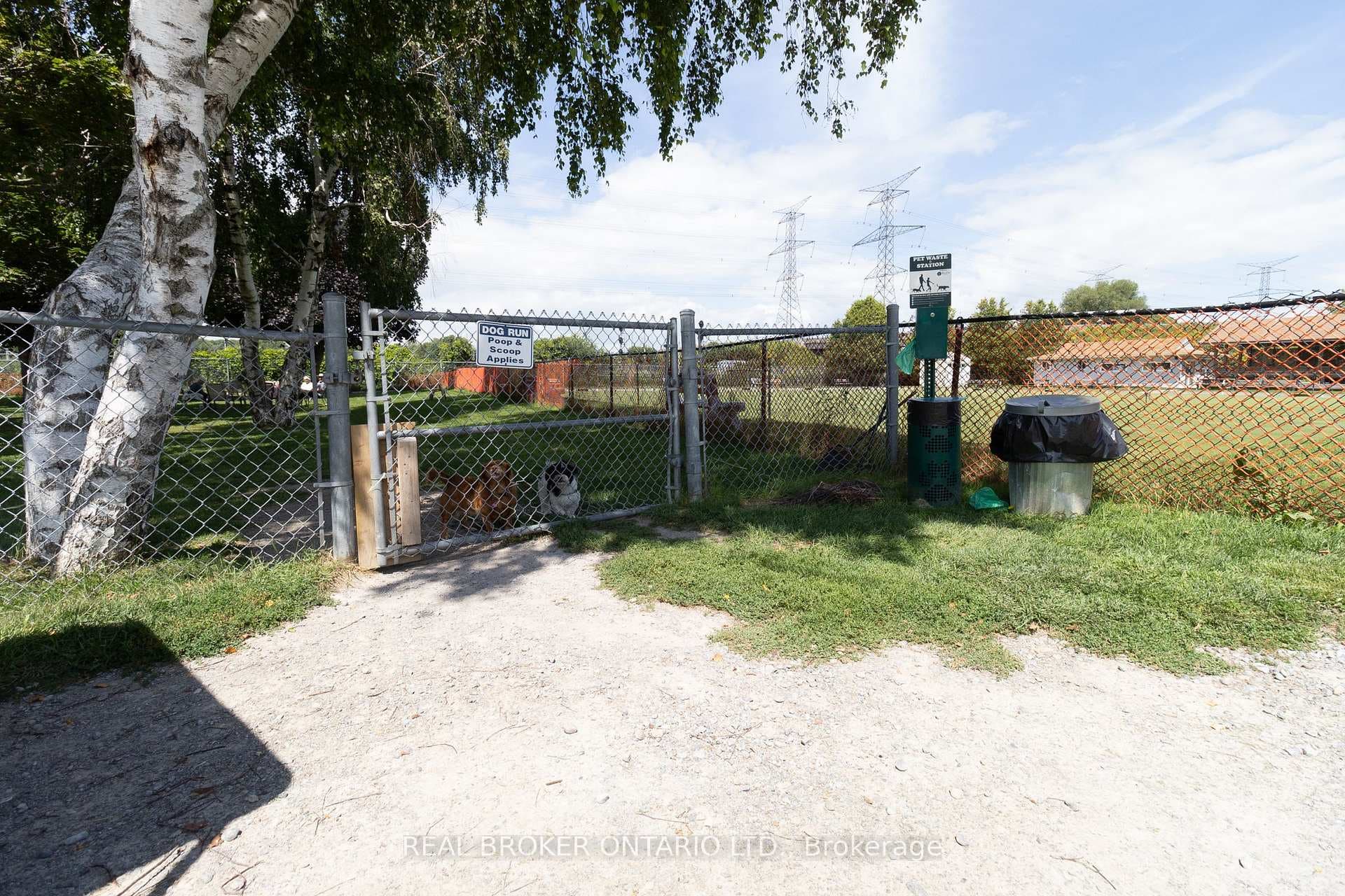 22 Champlain Court photo 39