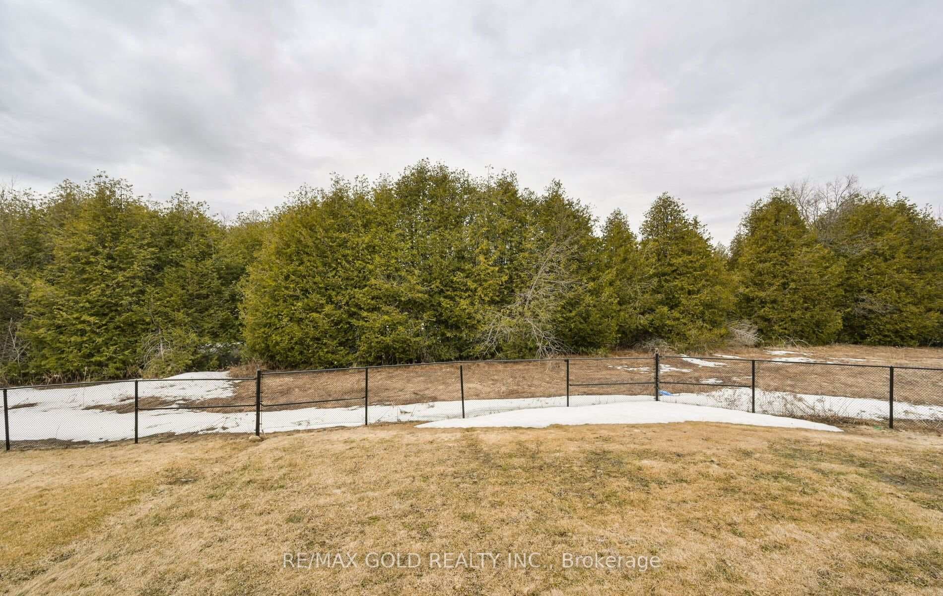 124 Limestone Lane photo 43