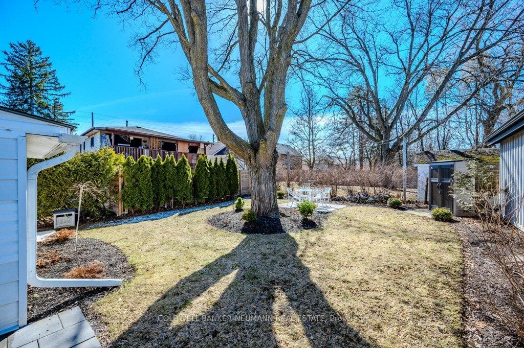 14 Laurine Avenue photo 29