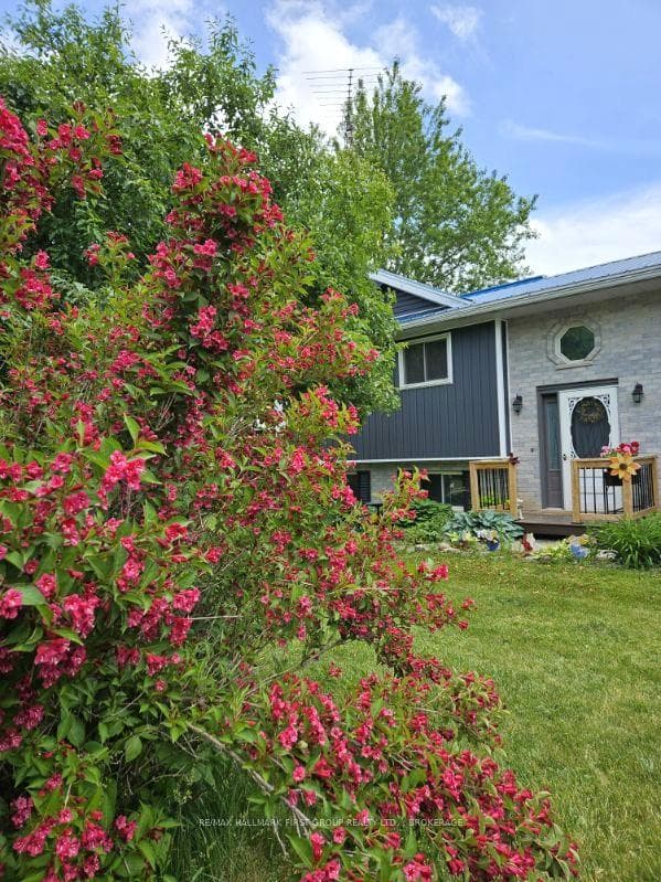 2220 County 11 Road photo 28