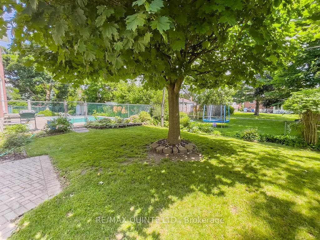 Shady Yard