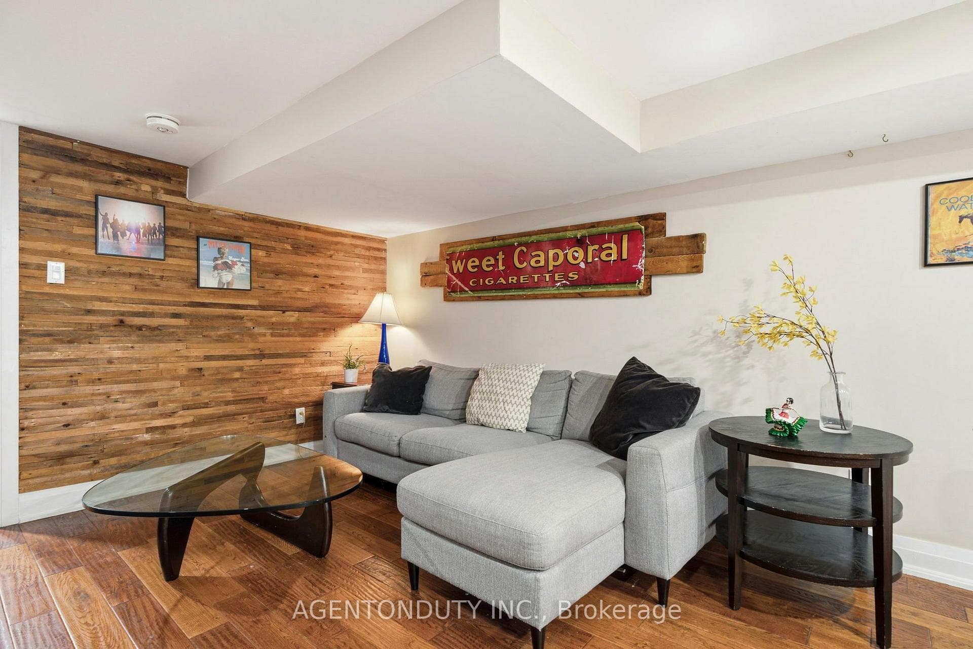 Basement Living Room