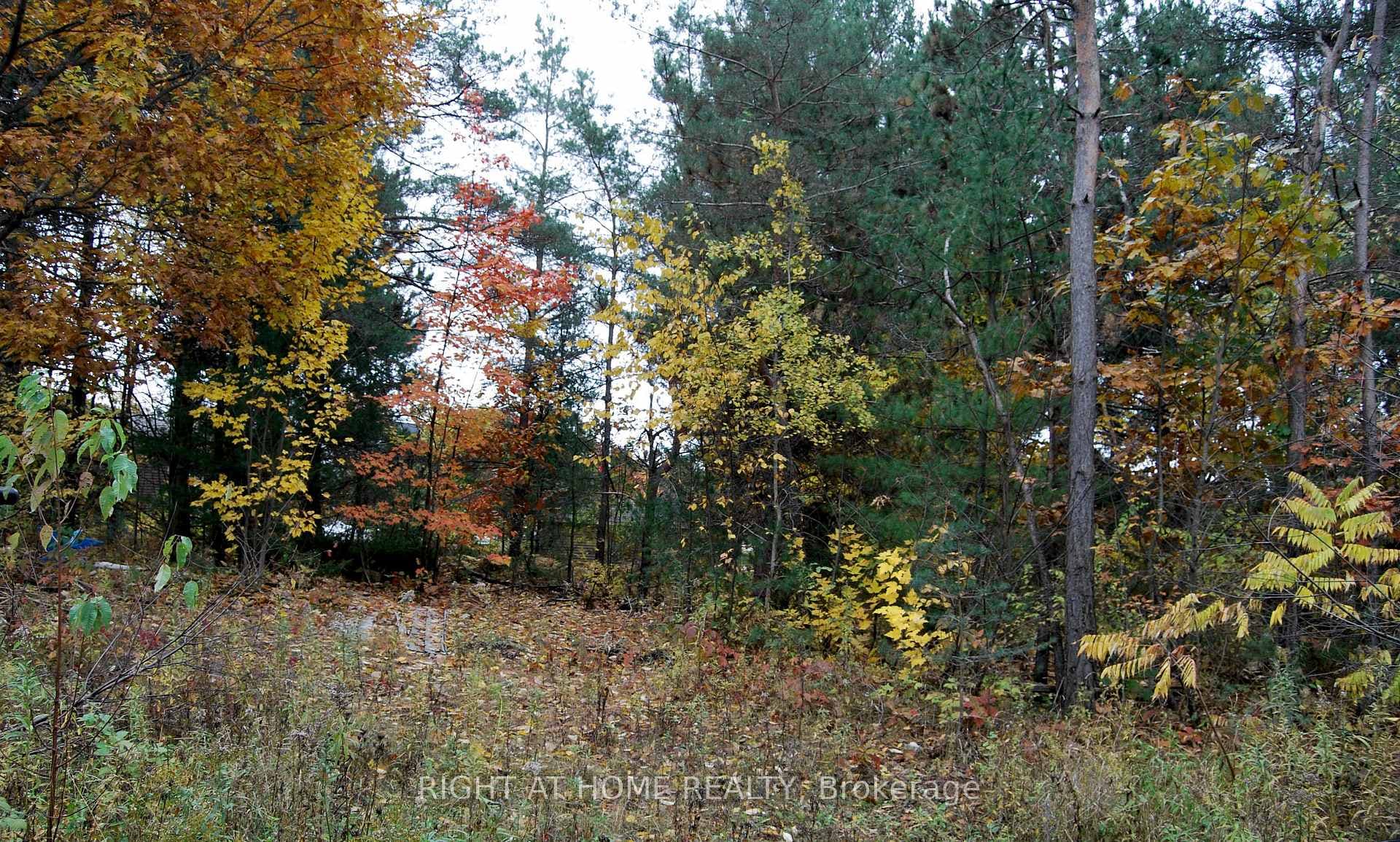 Picture of the lot from the road in Fall.