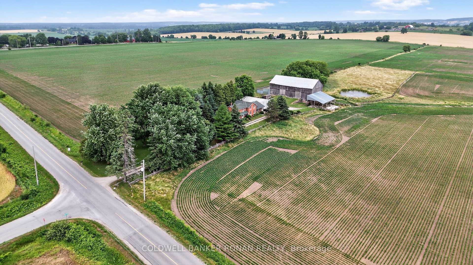 2577 Adjala Tecumseth Townline photo 4