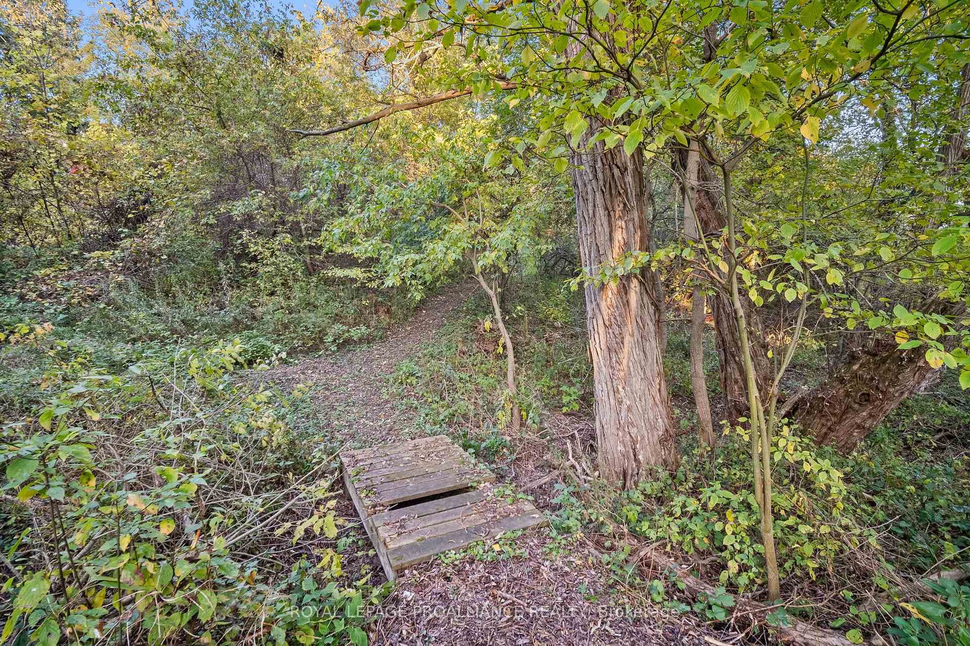 1153 Baulch Road photo 12