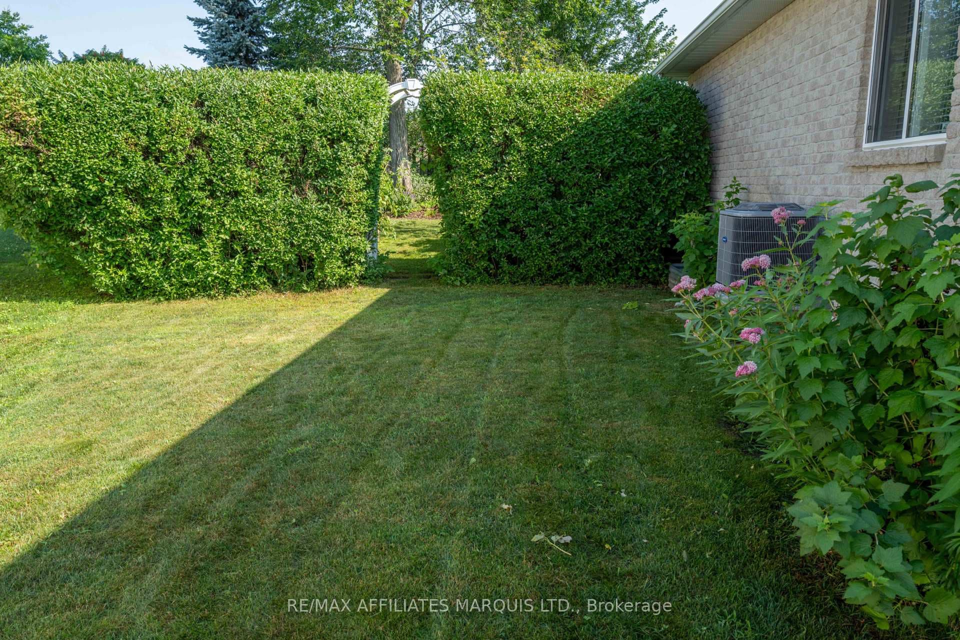 Side yard