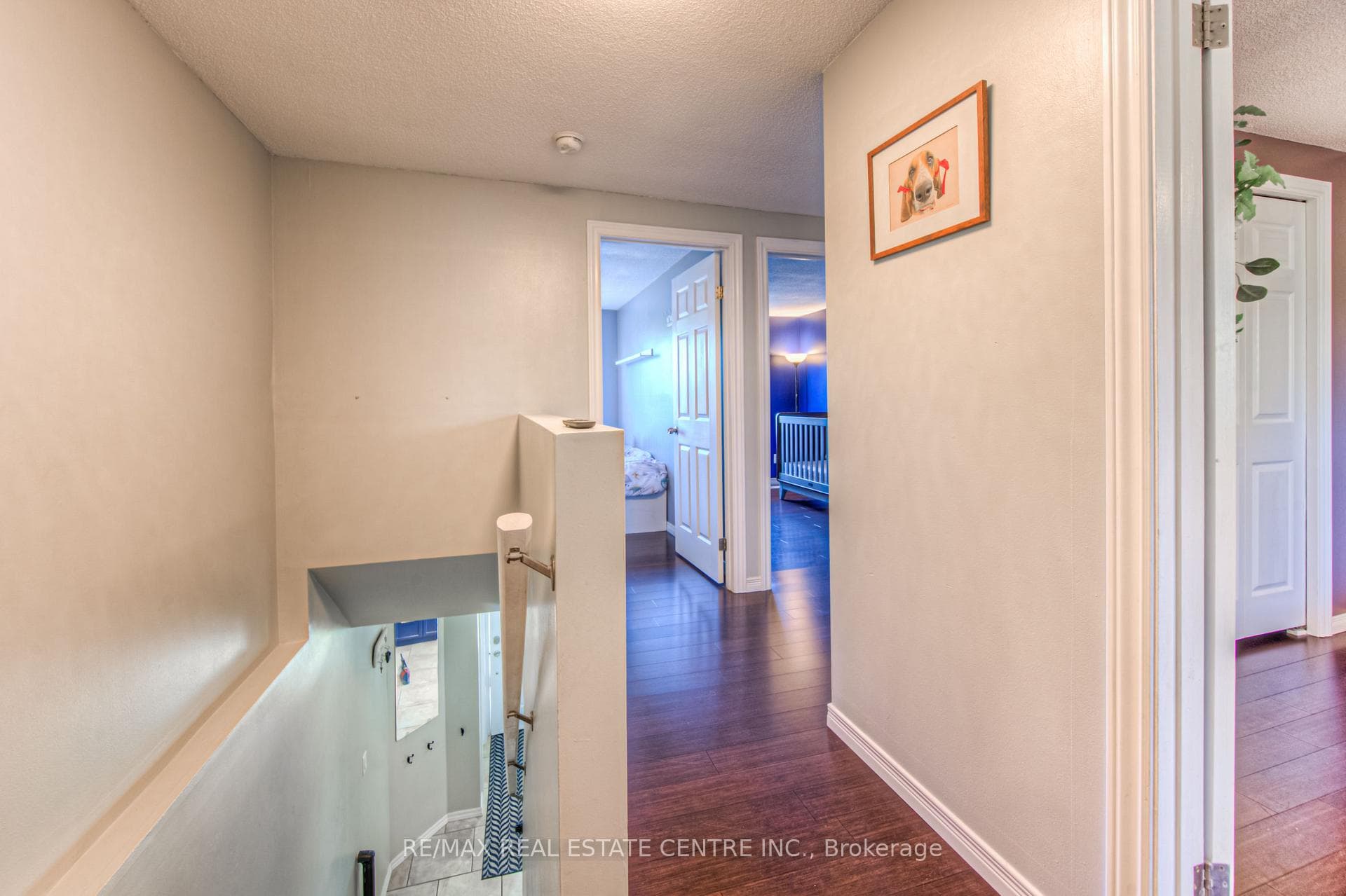 8 Carter Crescent photo 15