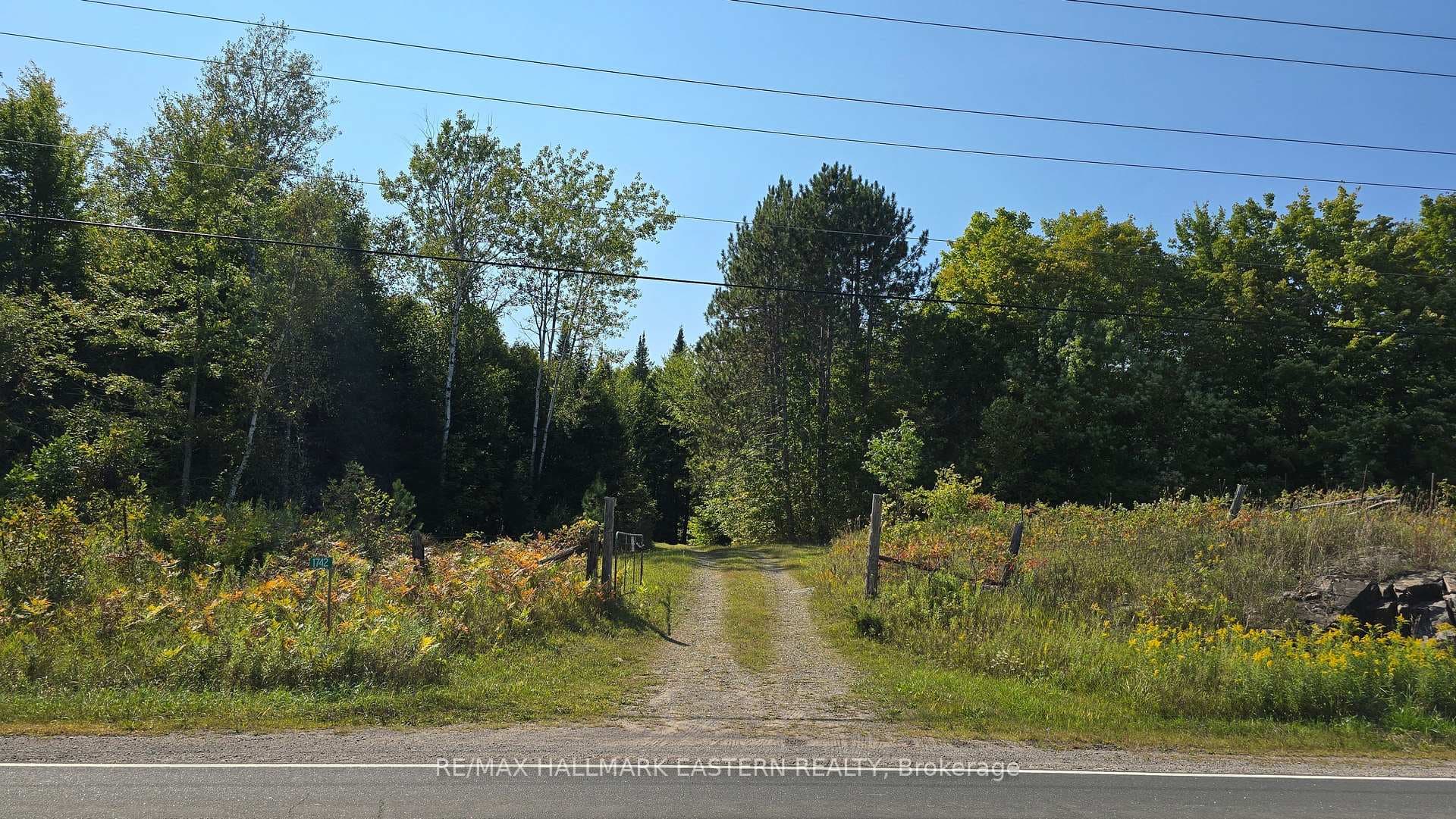 1742 County Road 46 N/A photo 4