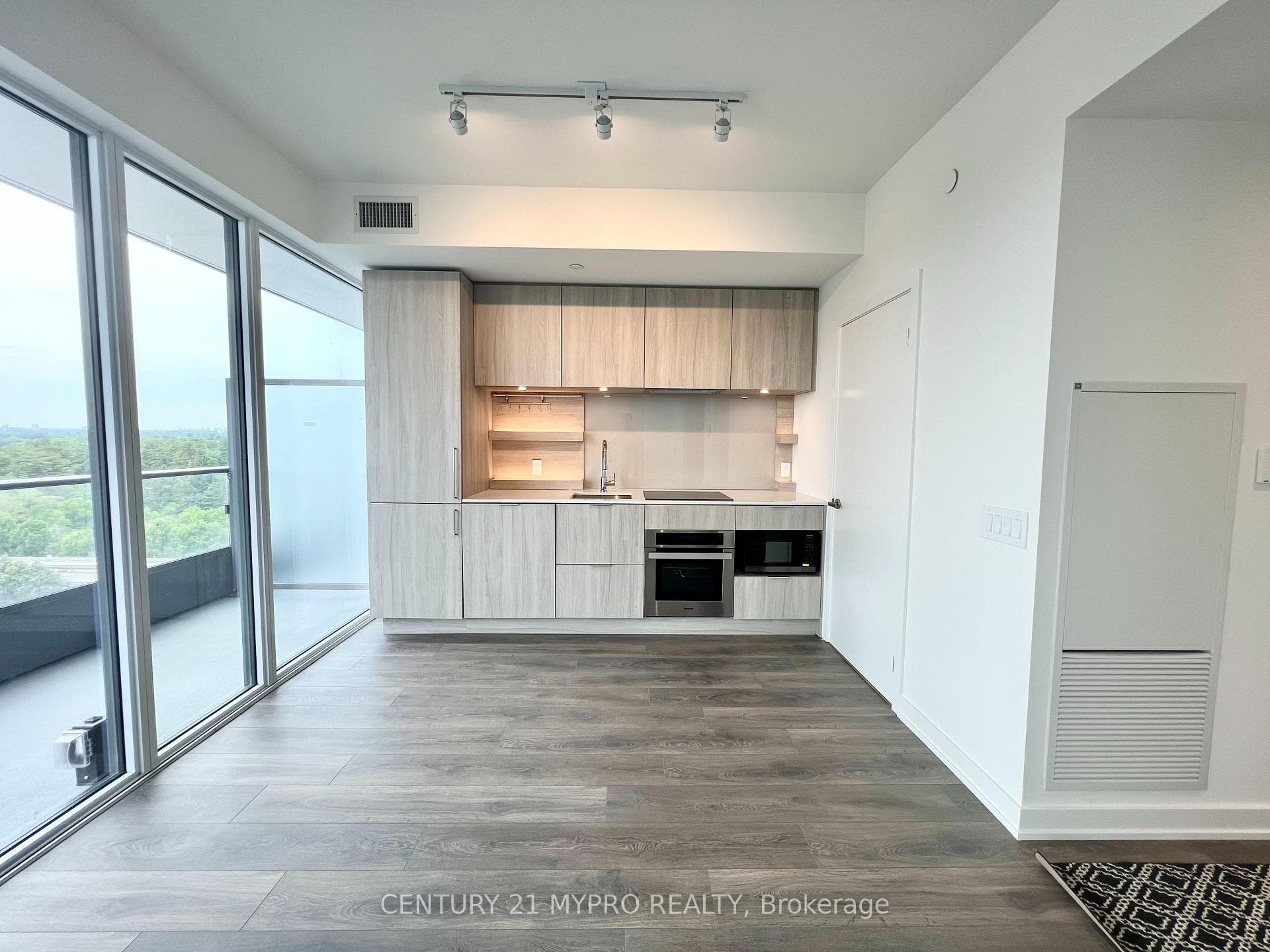 28 Ann Street Unit 1109 photo 2