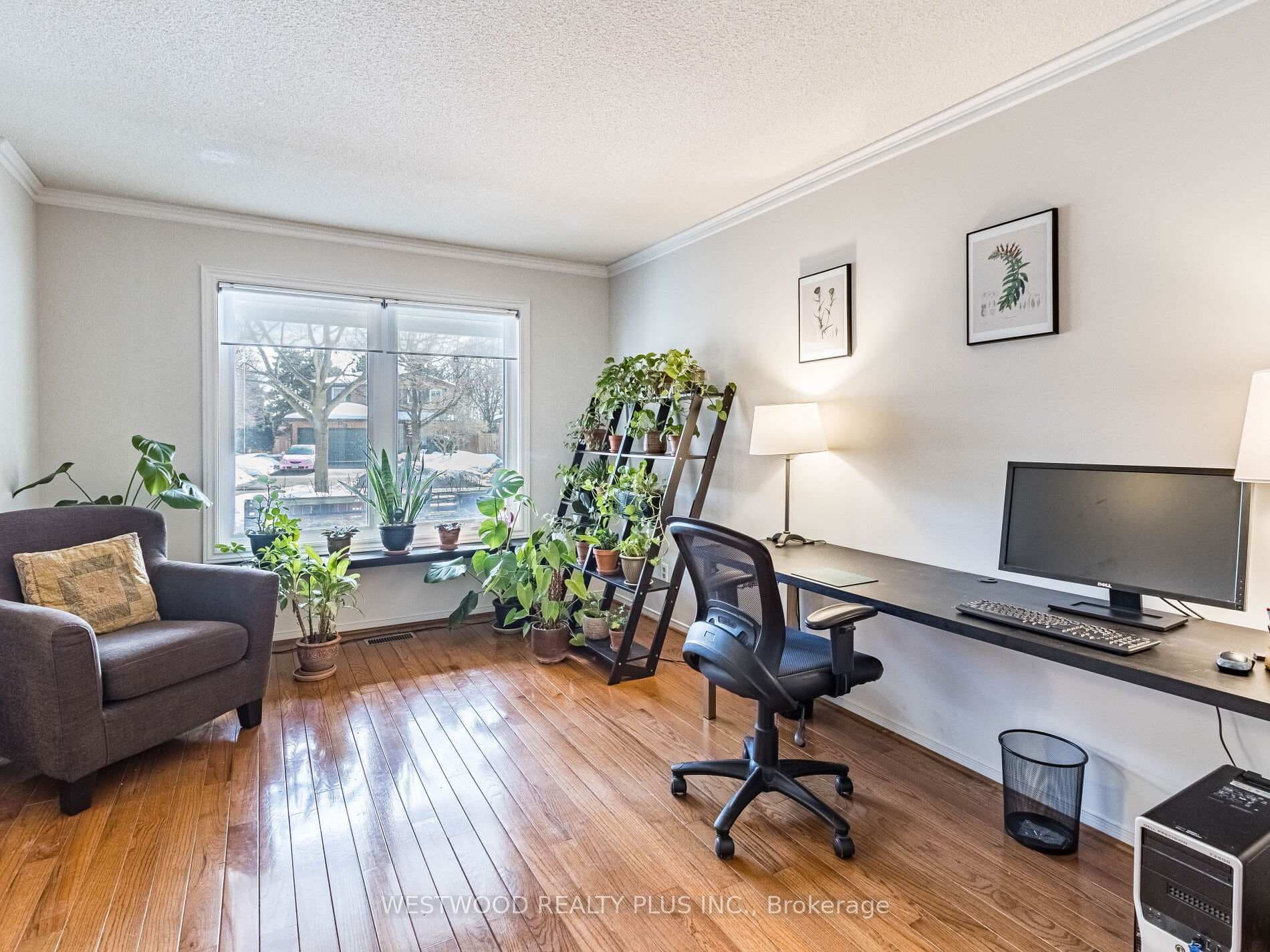16 Mccallum Drive photo 6