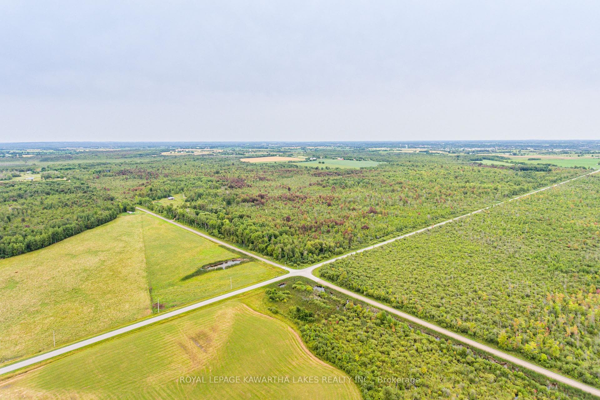 917 Settlers Road photo 27