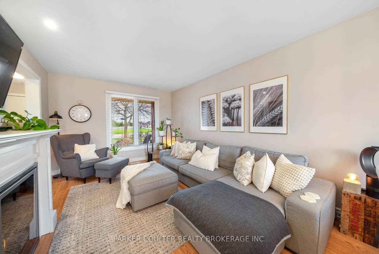 386 Livingstone Street photo 8
