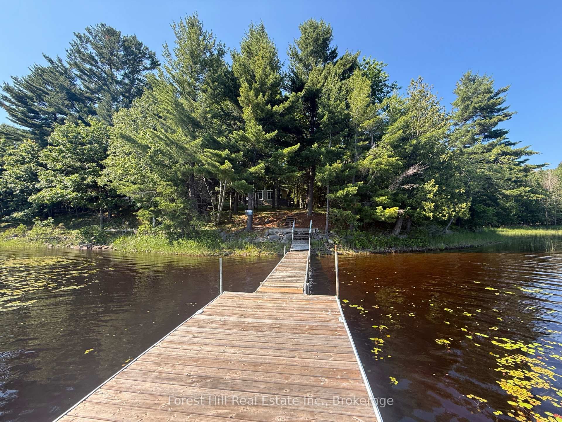 935 Limberlost Road photo 3