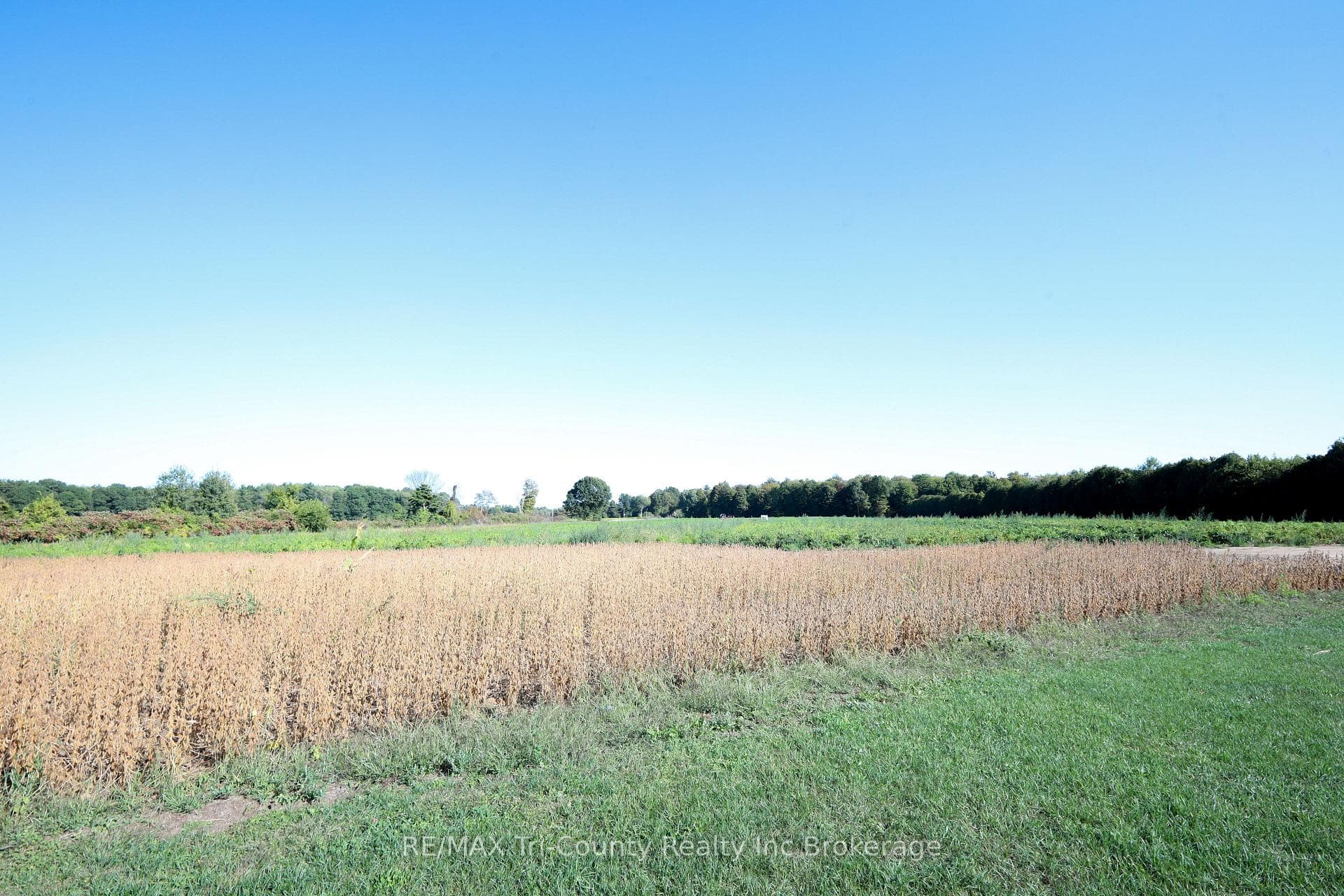 1225 1st Concession ENR Road photo 10
