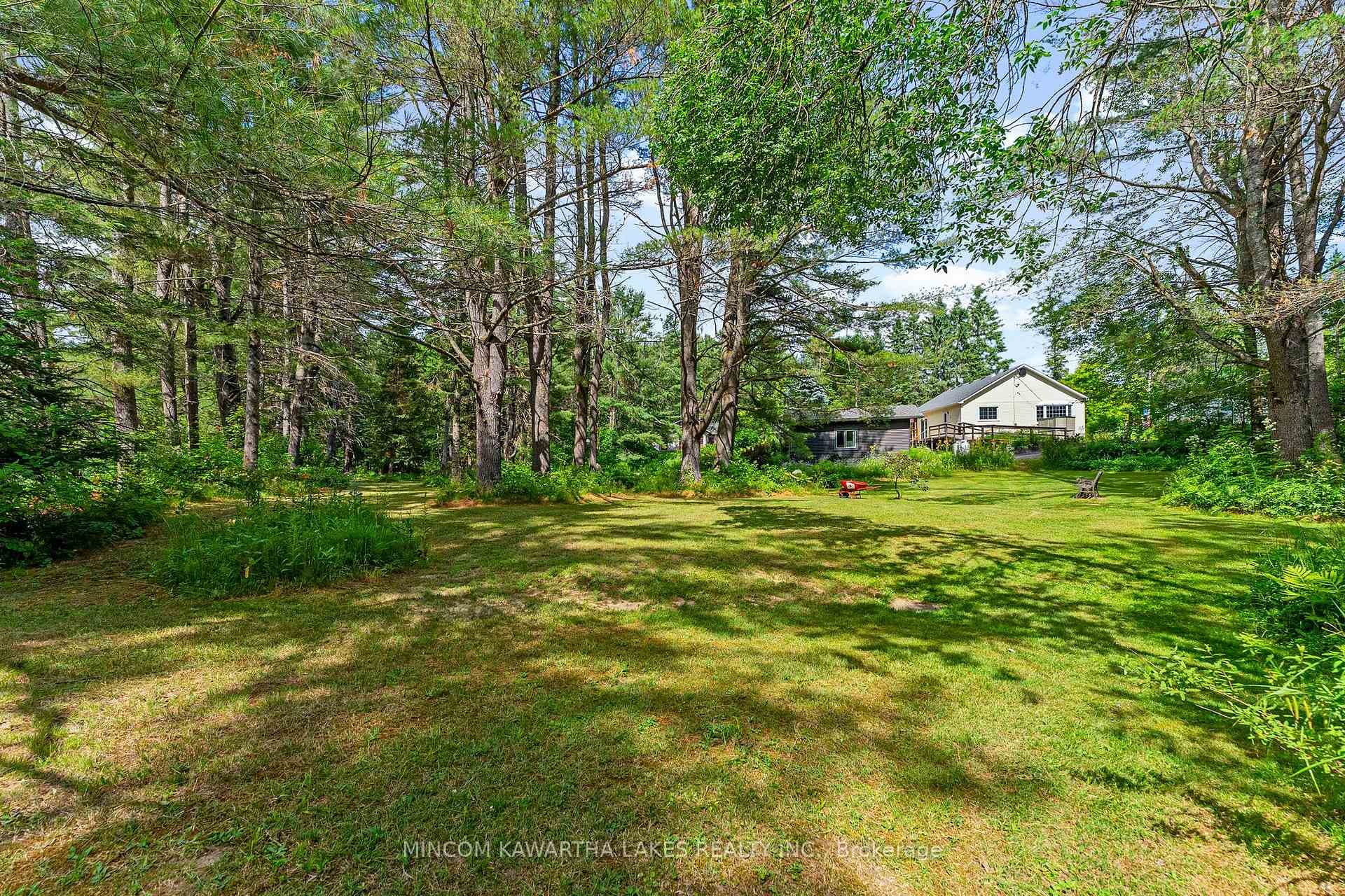 60 Burleigh Street photo 42