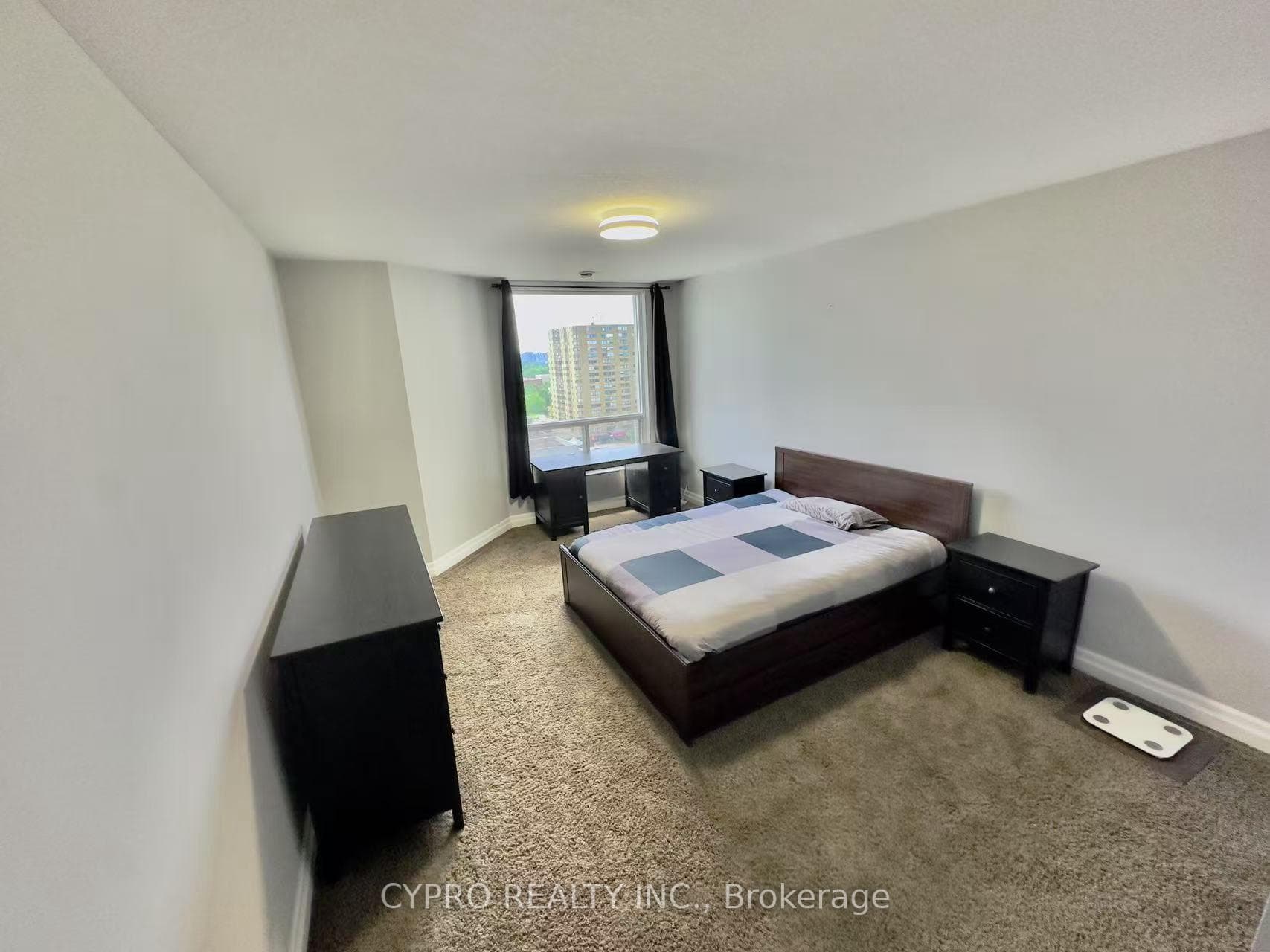 250 PALL MALL Street Unit 1305 photo 7