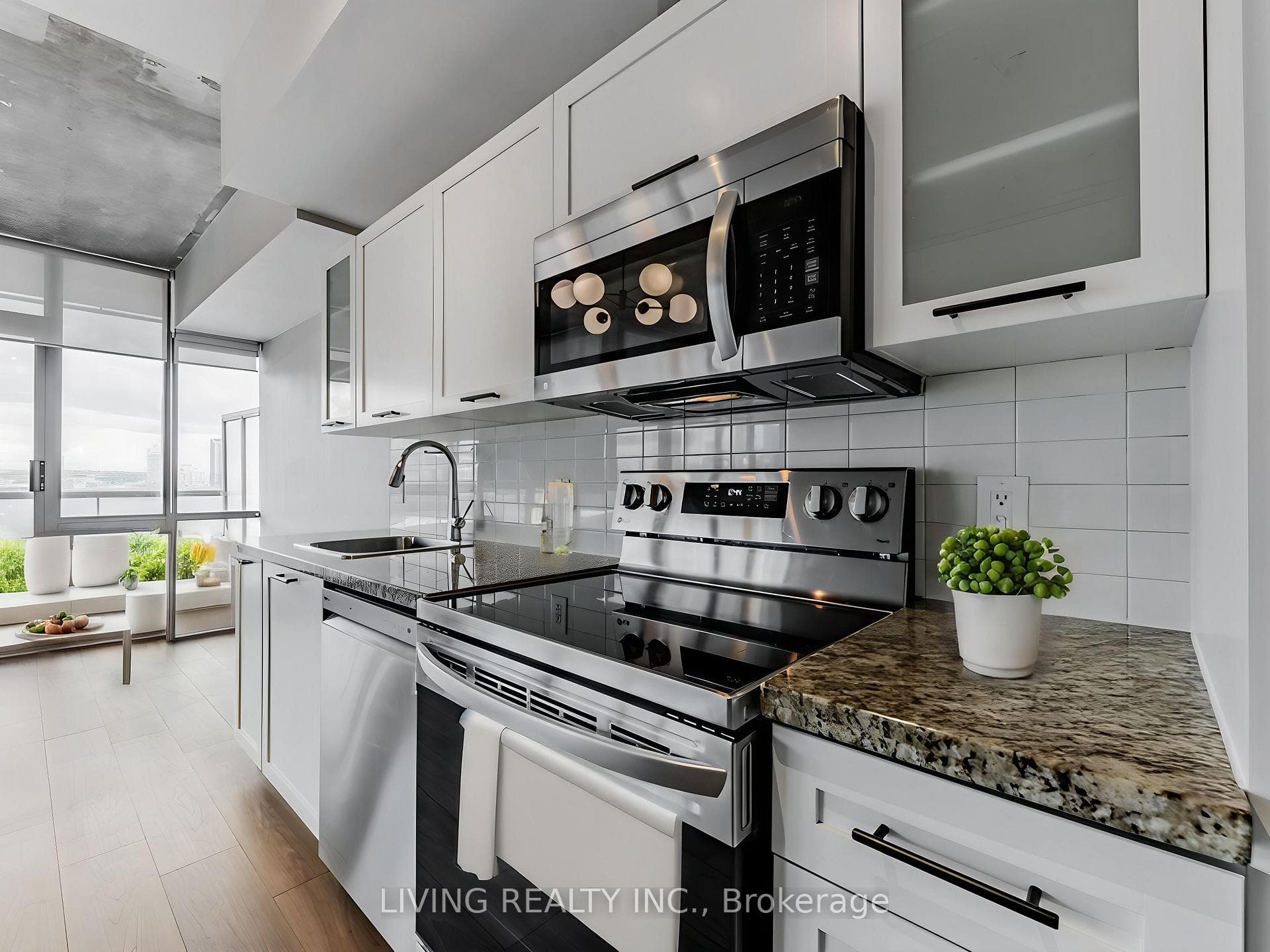 33 Mill Street Unit 1009 photo 4