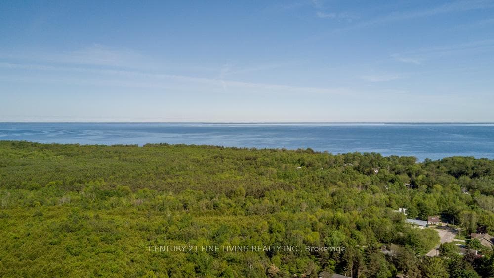 1614 Ridge Road Unit 202 photo 13