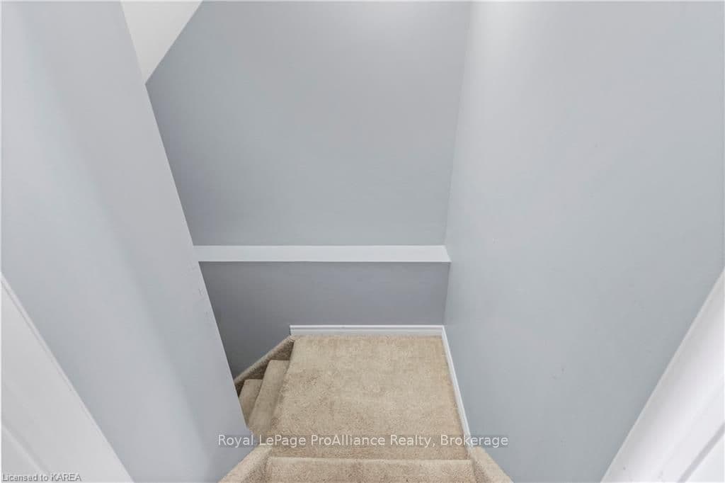 1717 REGINALD BART Drive photo 30