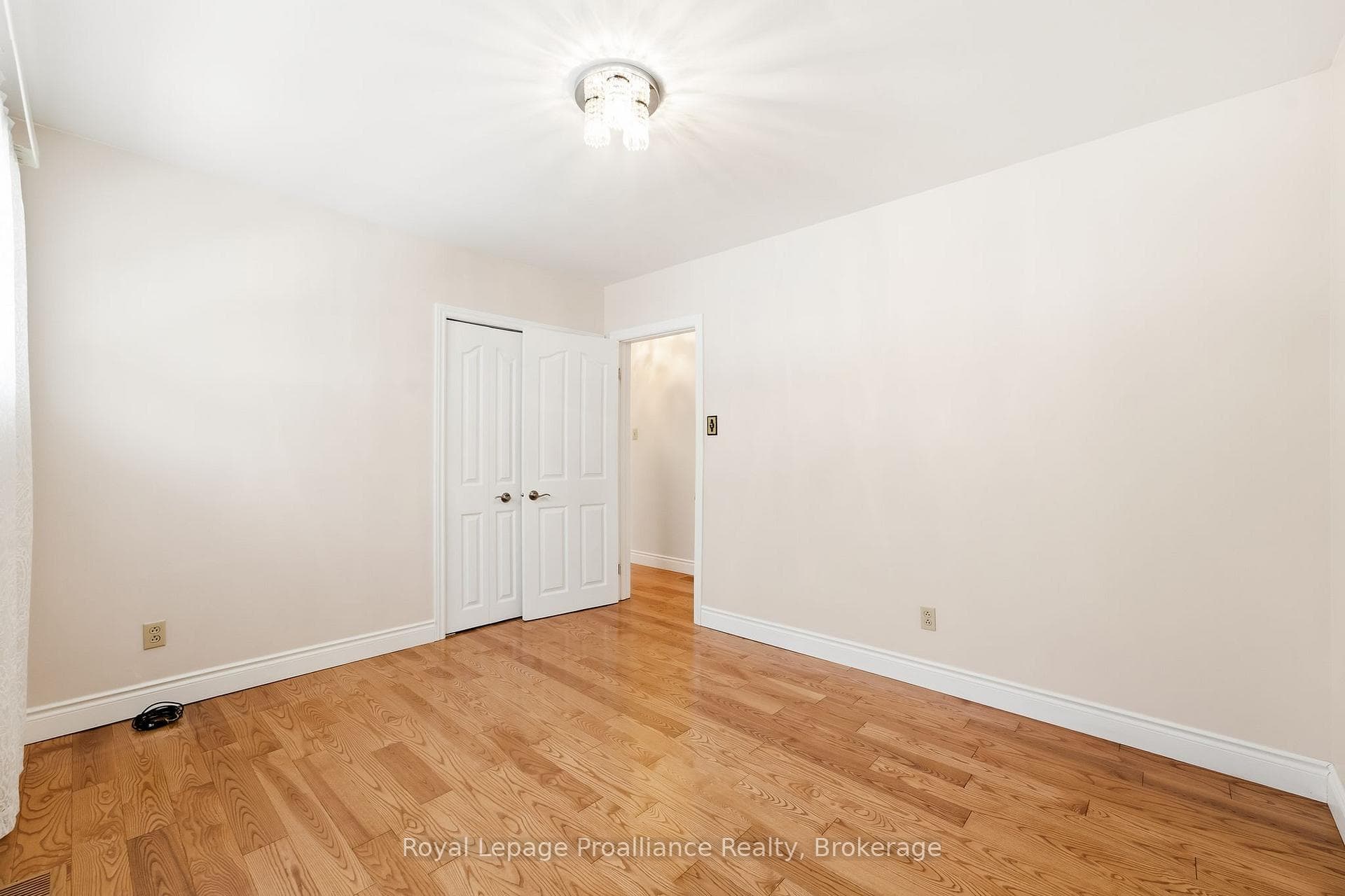 11 Addison Street photo 23