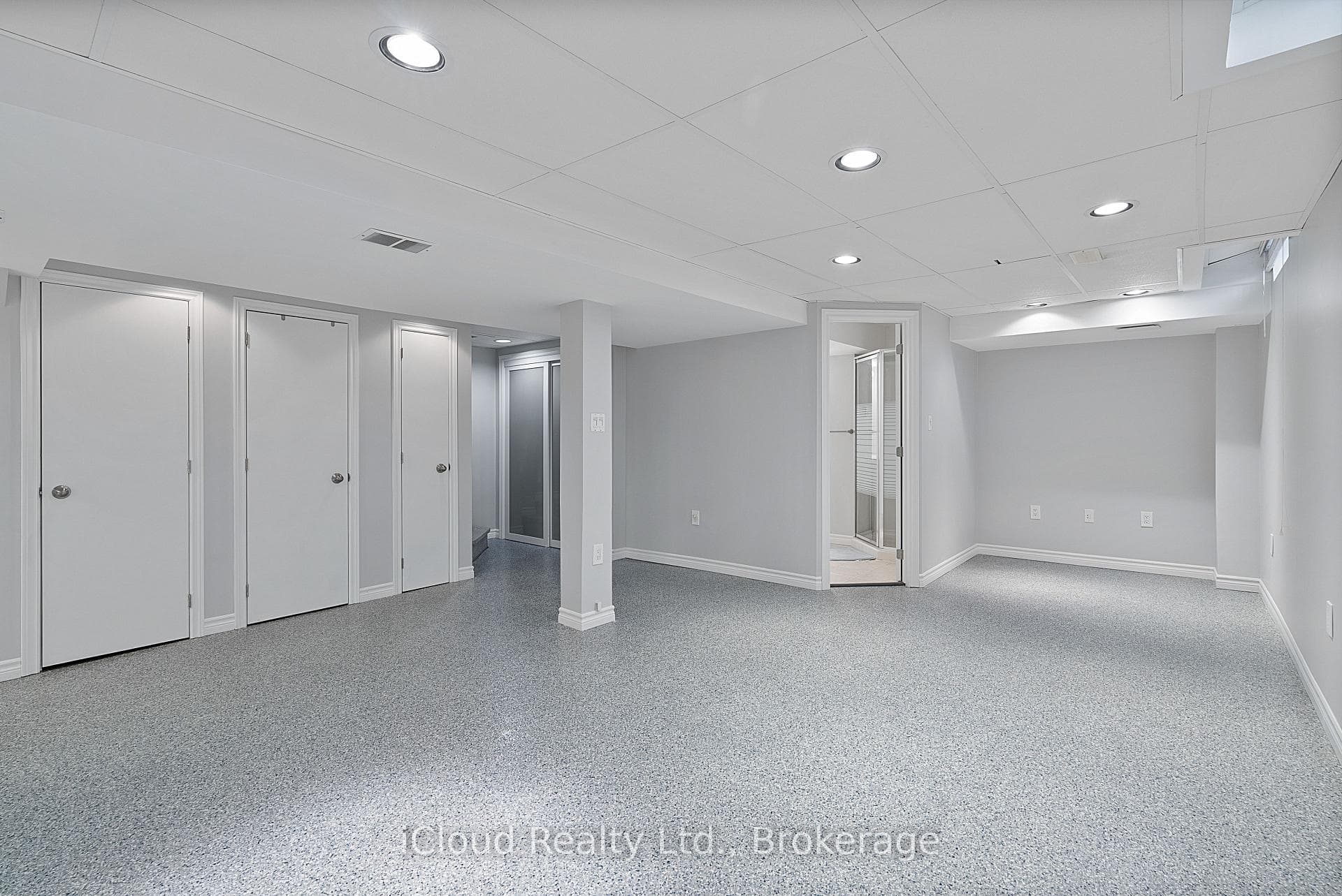 Fully Finished Basement Recreation Room