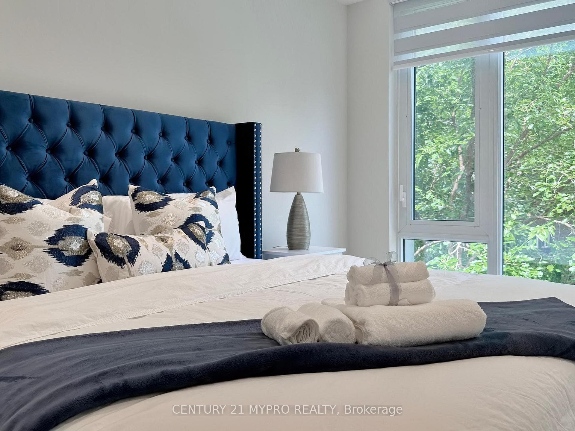31A Dundonald Street photo 30
