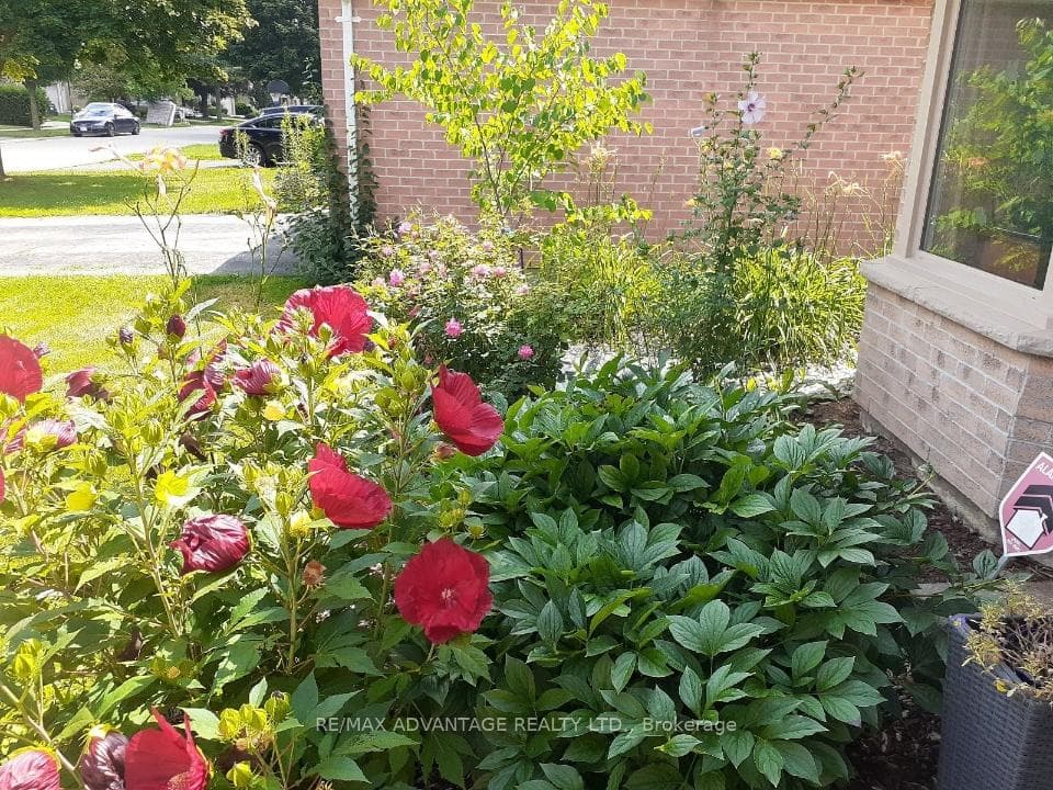 51 Laurel Crescent photo 8