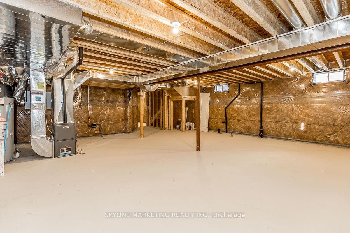 Storage in Bsmt