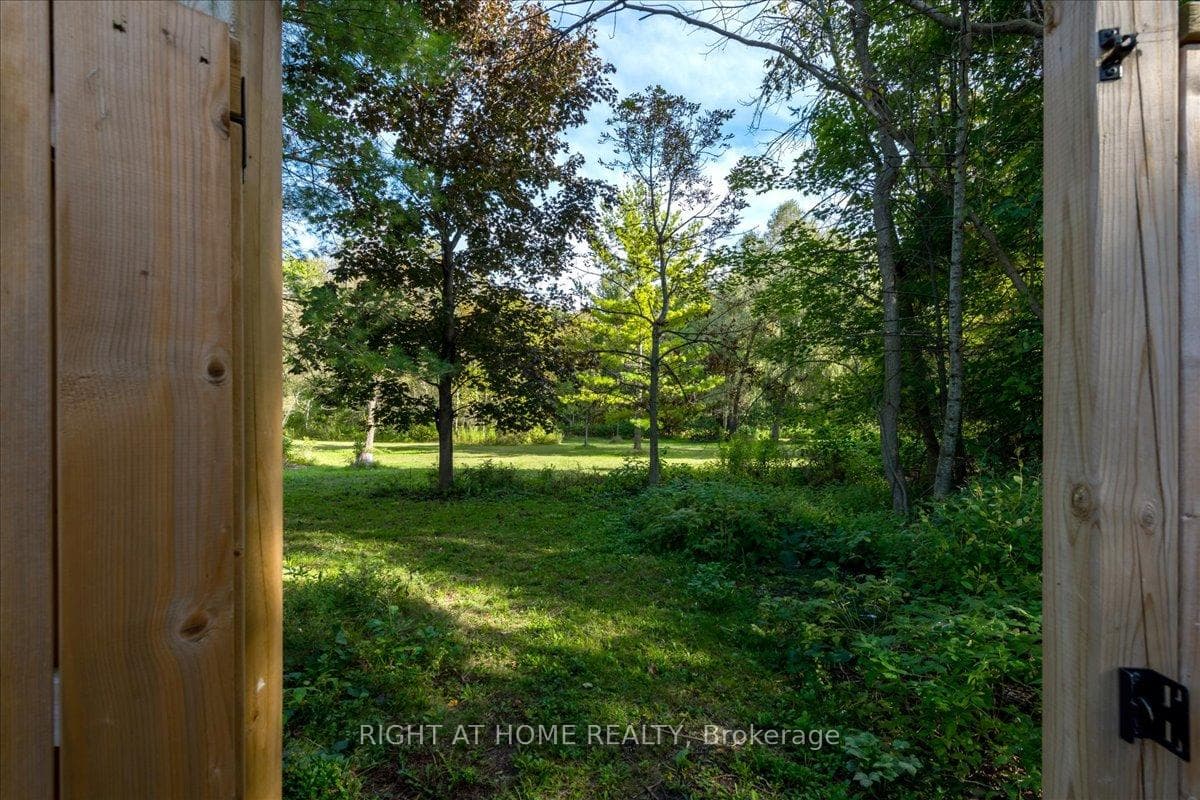 53 Royal Beech Drive photo 30